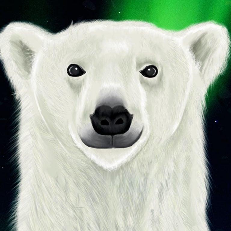 BEAR WALL - Polar | Jump2Math Sensory Paths & Physical Math